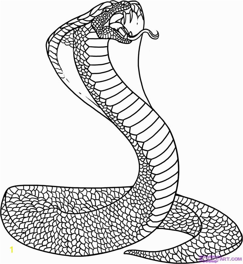 gambar sketsa ular kobra hd