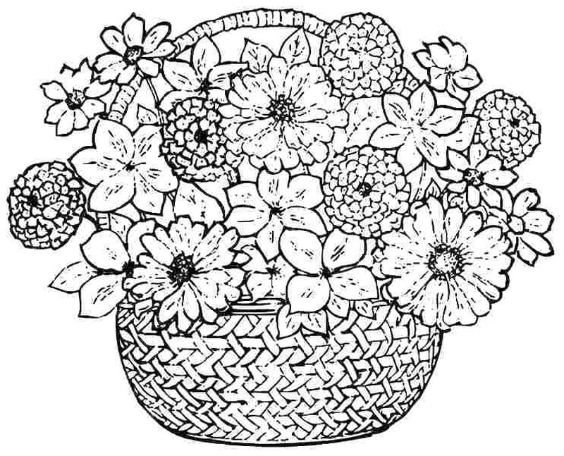 gambar sketsa vas bunga hd diwarnai
