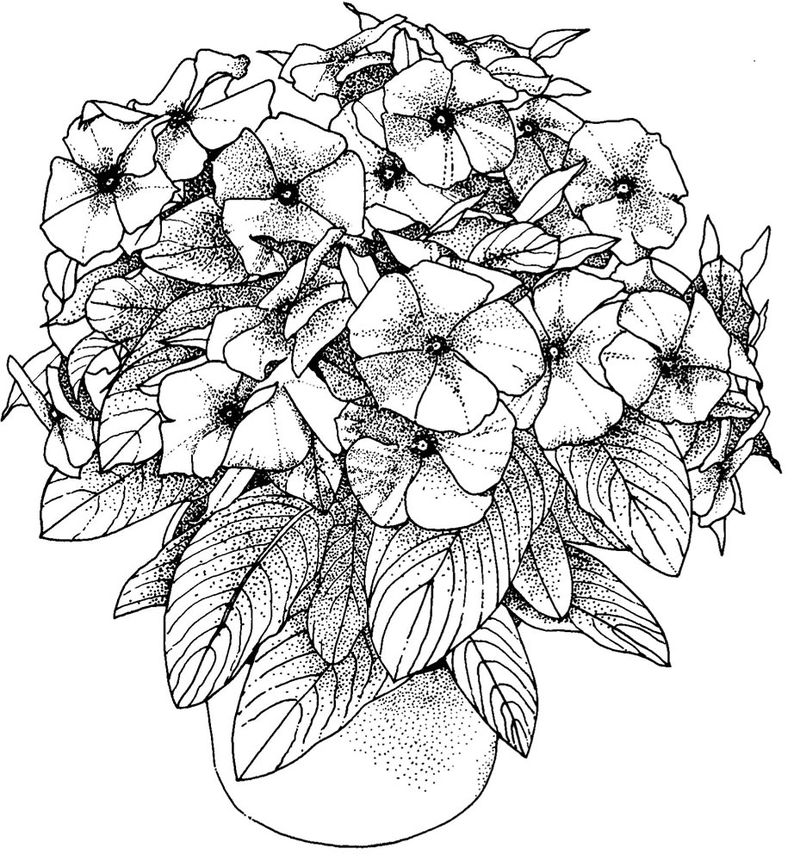 gambar sketsa vas bunga mewarnai