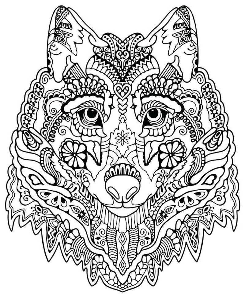 gambar wajah sketsa serigala