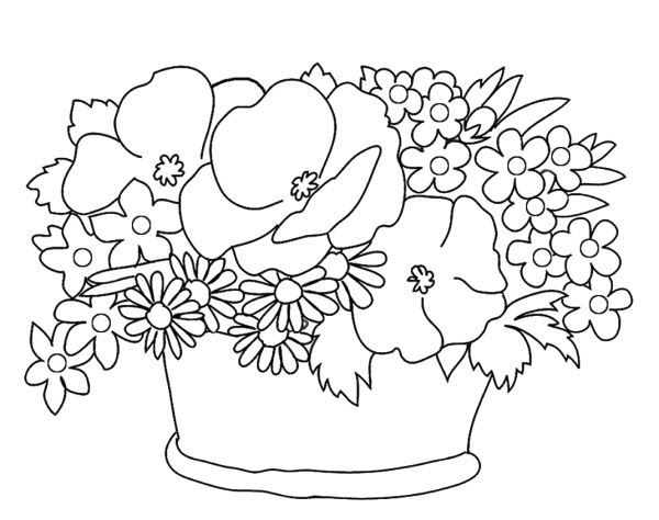 kumpulan gambar sketsa bunga melati