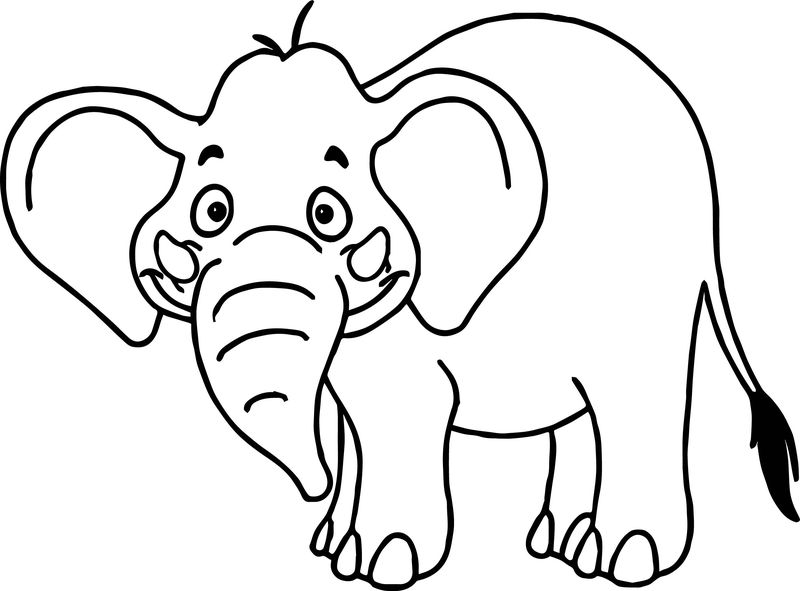 menggambar gambar sketsa gajah