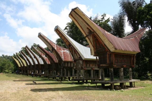 rumah adat suku toraja sulawesi selatan