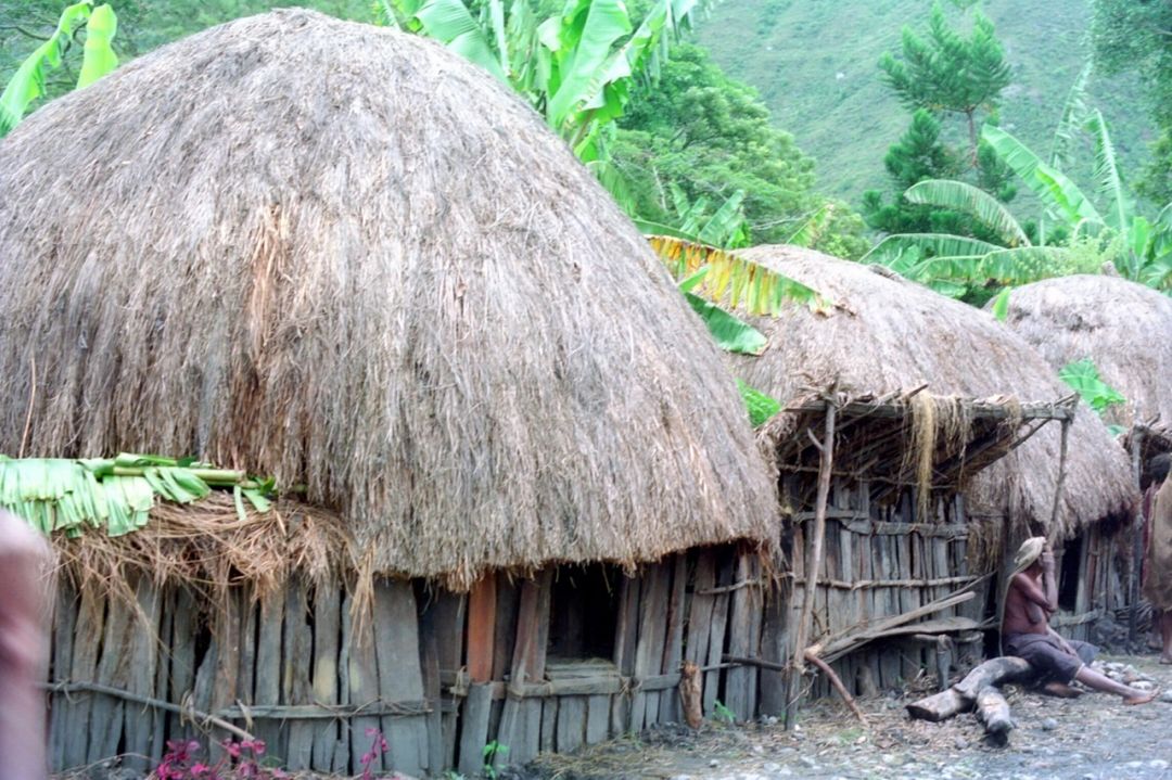 rumah tradisional adat papua