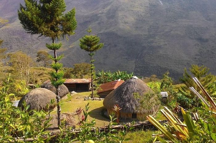 rumah tradisional papua