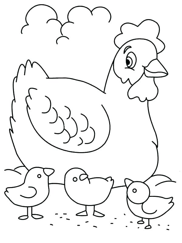 sketsa ayam induk dan anak ayam