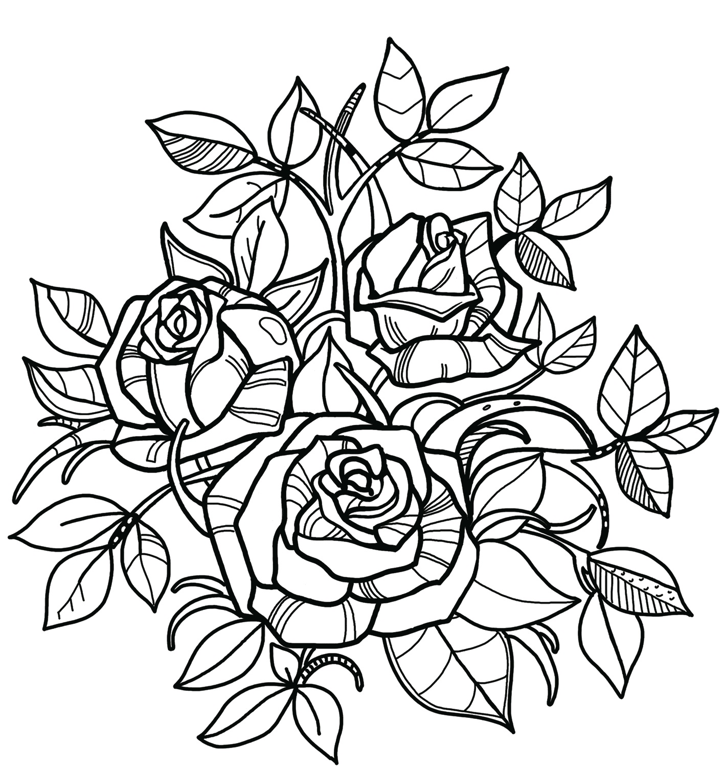 sketsa bunga mawar cantik