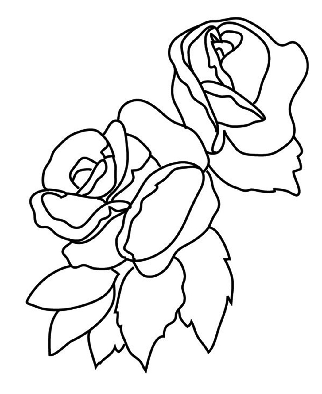 sketsa bunga mawar diwarnai