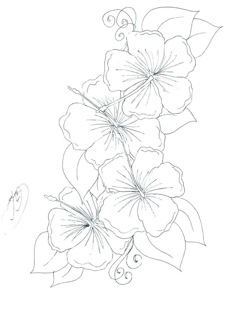 sketsa bunga sederhana gambar