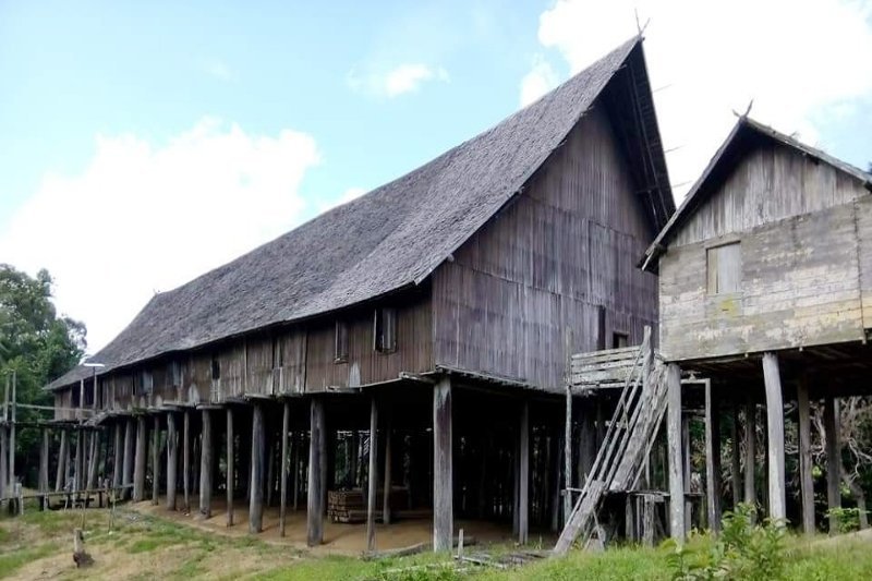 Struktur Bangunan Rumah Adat Betang Rumah Adat Kalimantan Tengah