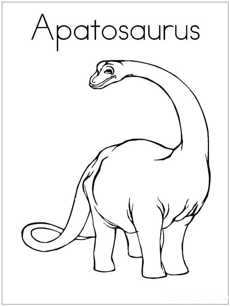 contoh gambar sketsa dinosaurus