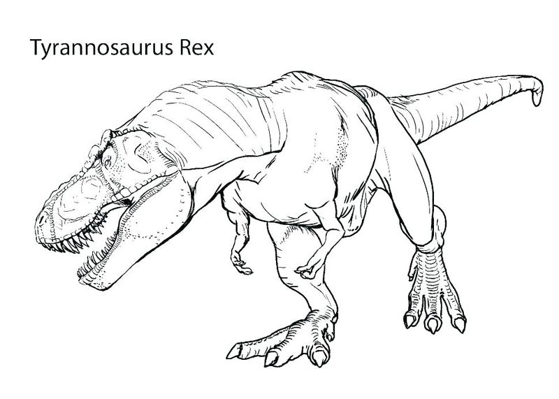 gambar sketsa dinosaurus hd