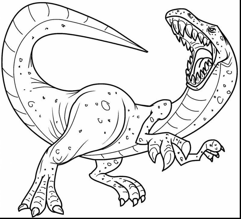 gambar sketsa dinosaurus kartun hd