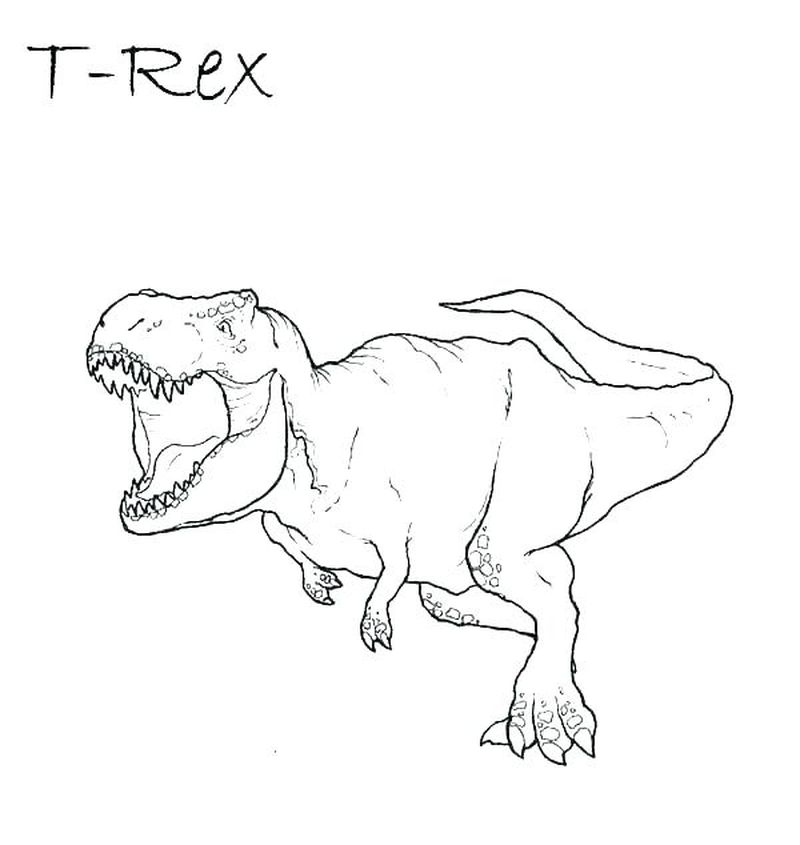 gambar sketsa dinosaurus mewarnai