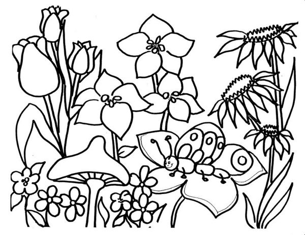 gambar sketsa flora kartun mewarnai