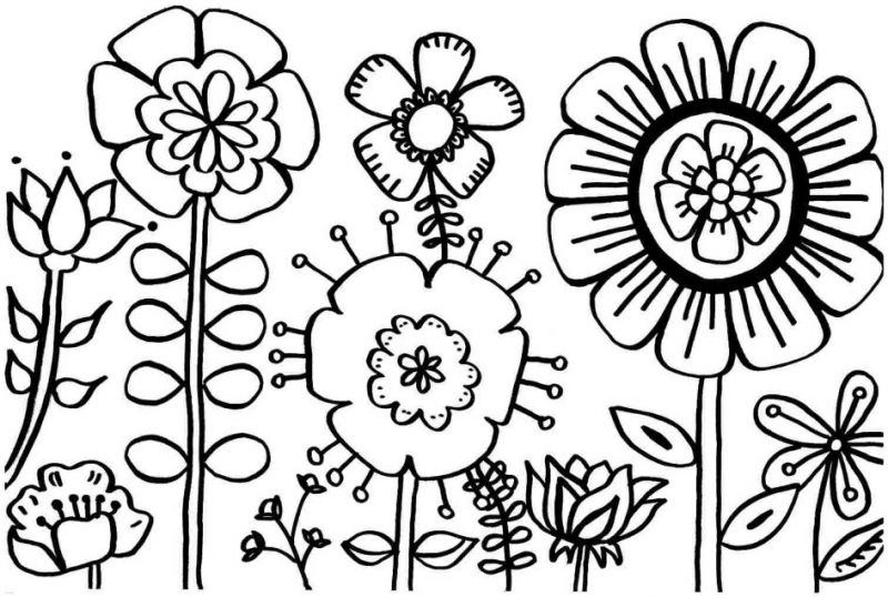 gambar sketsa flora kartun