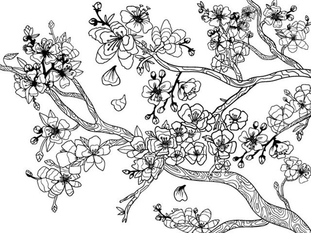 gambar sketsa flora mewarnai