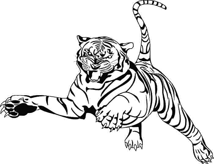 gambar sketsa macan keren