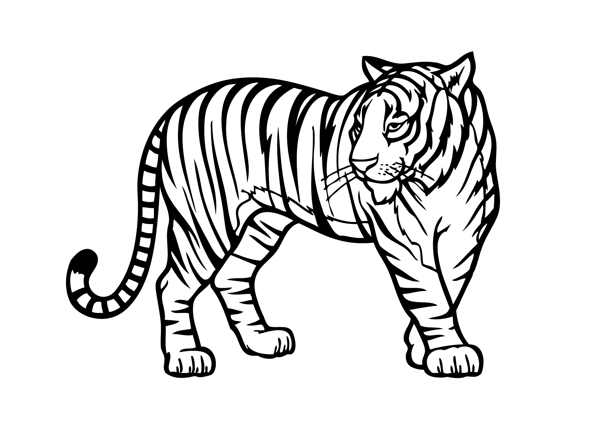 hd contoh gambar sketsa macan