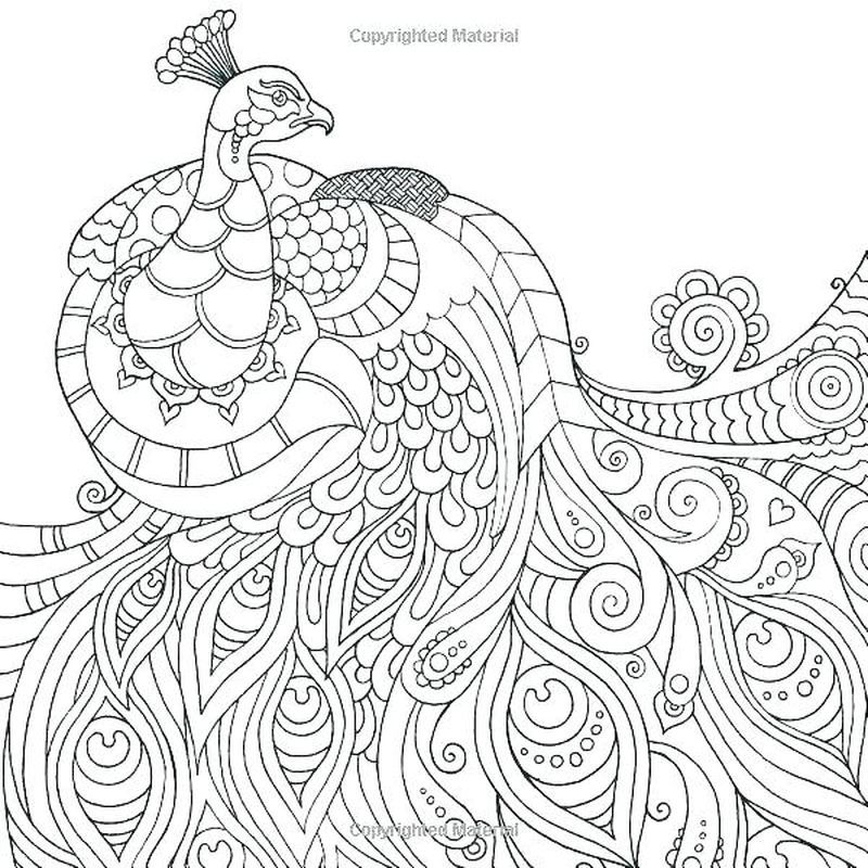 peacock colouring pages free