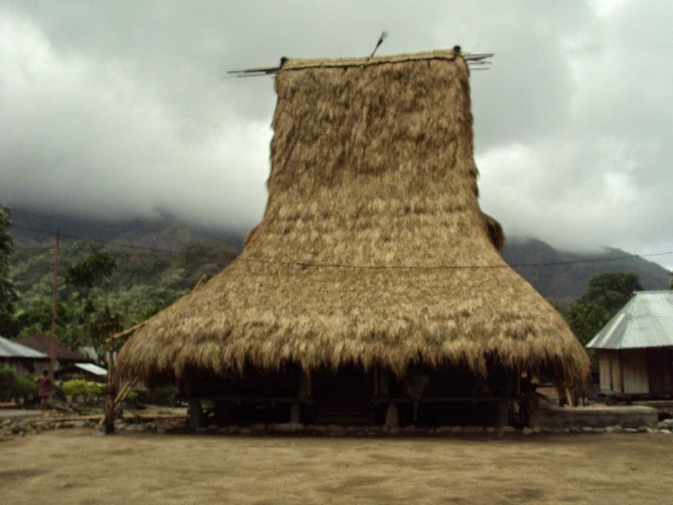 rumah adat tradisional musalaki rumah adat nusa tenggara timur