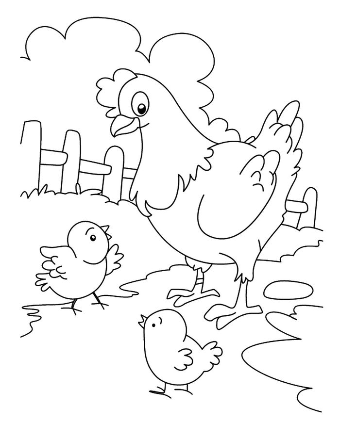 Gambar Mewarnai Anak Ayam