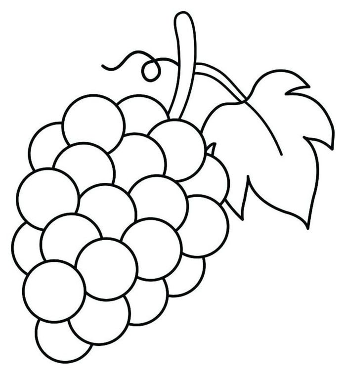 Gambar Untuk Mewarnai Buah Anggur