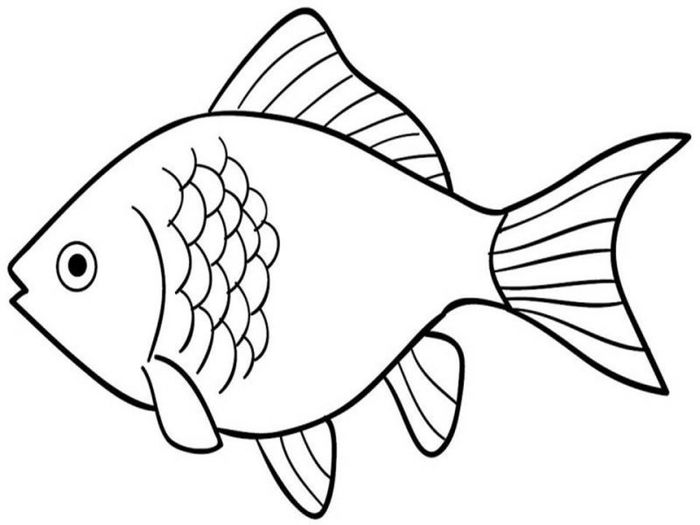 Gambar Ikan Mewarnai