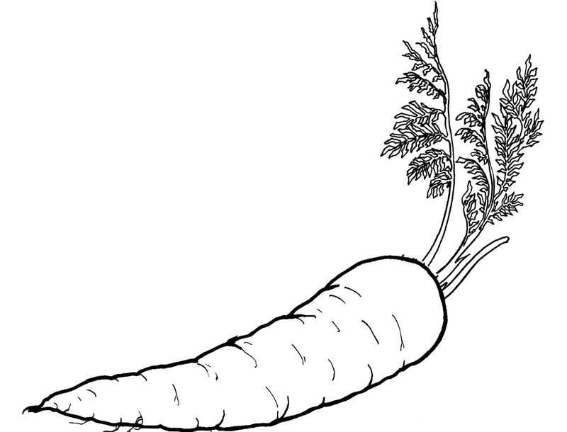 Gambar Mewarnai Sayuran Wortel