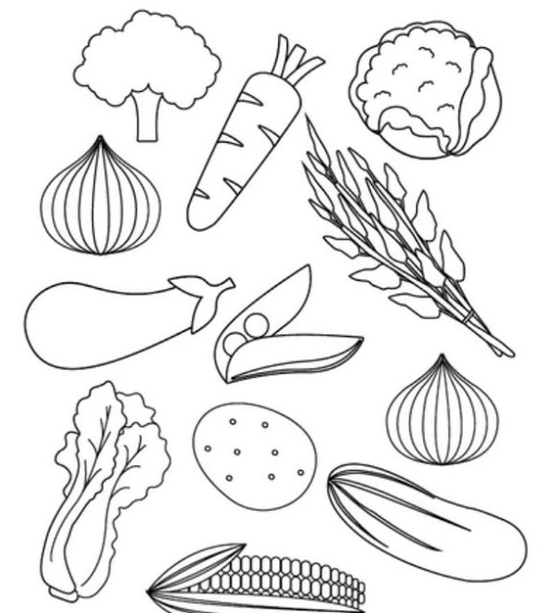 Gambar Sayur Sayuran Untuk Mewarnai