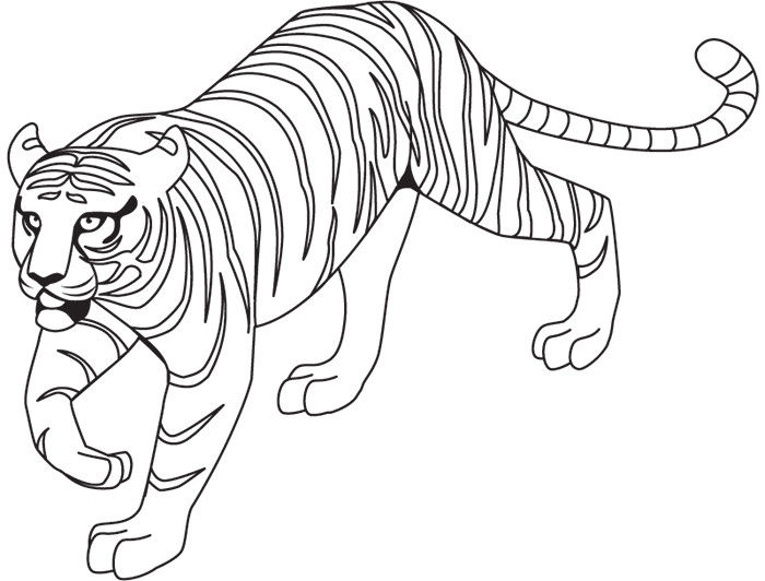 Gambar Untuk Mewarnai Harimau