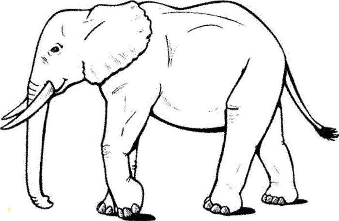 Mewarnai Gambar Binatang Gajah