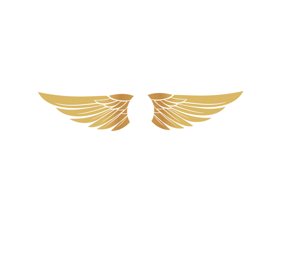 logo sayap png