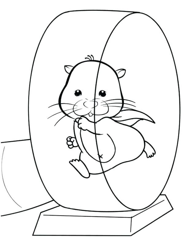 printable cartoon hamster coloring pages