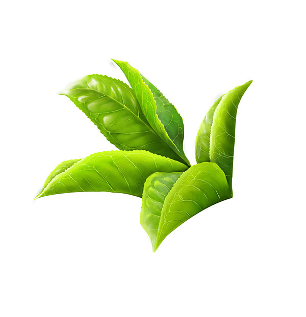 logo daun hijau
