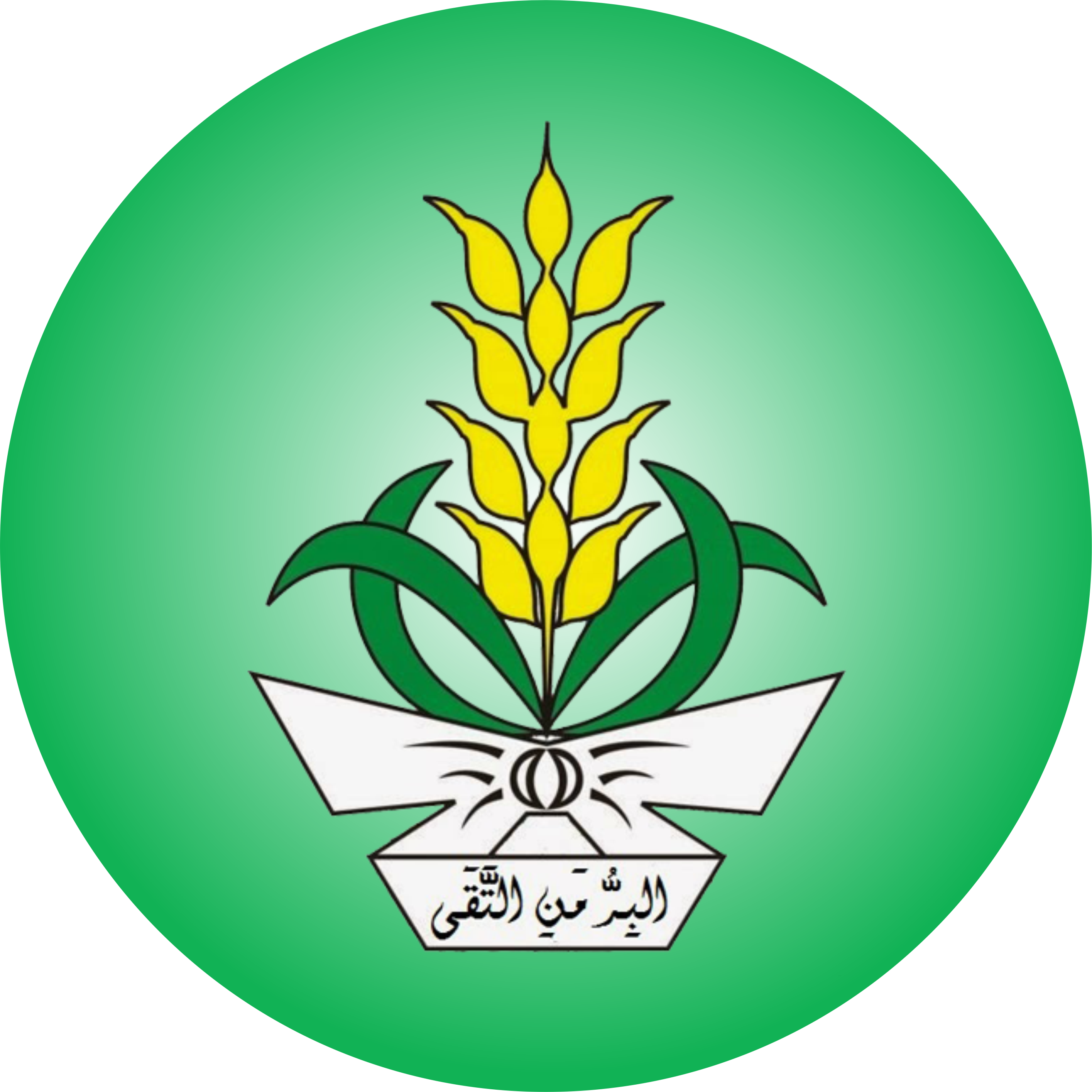 logo nasyiatul aisyiyah png