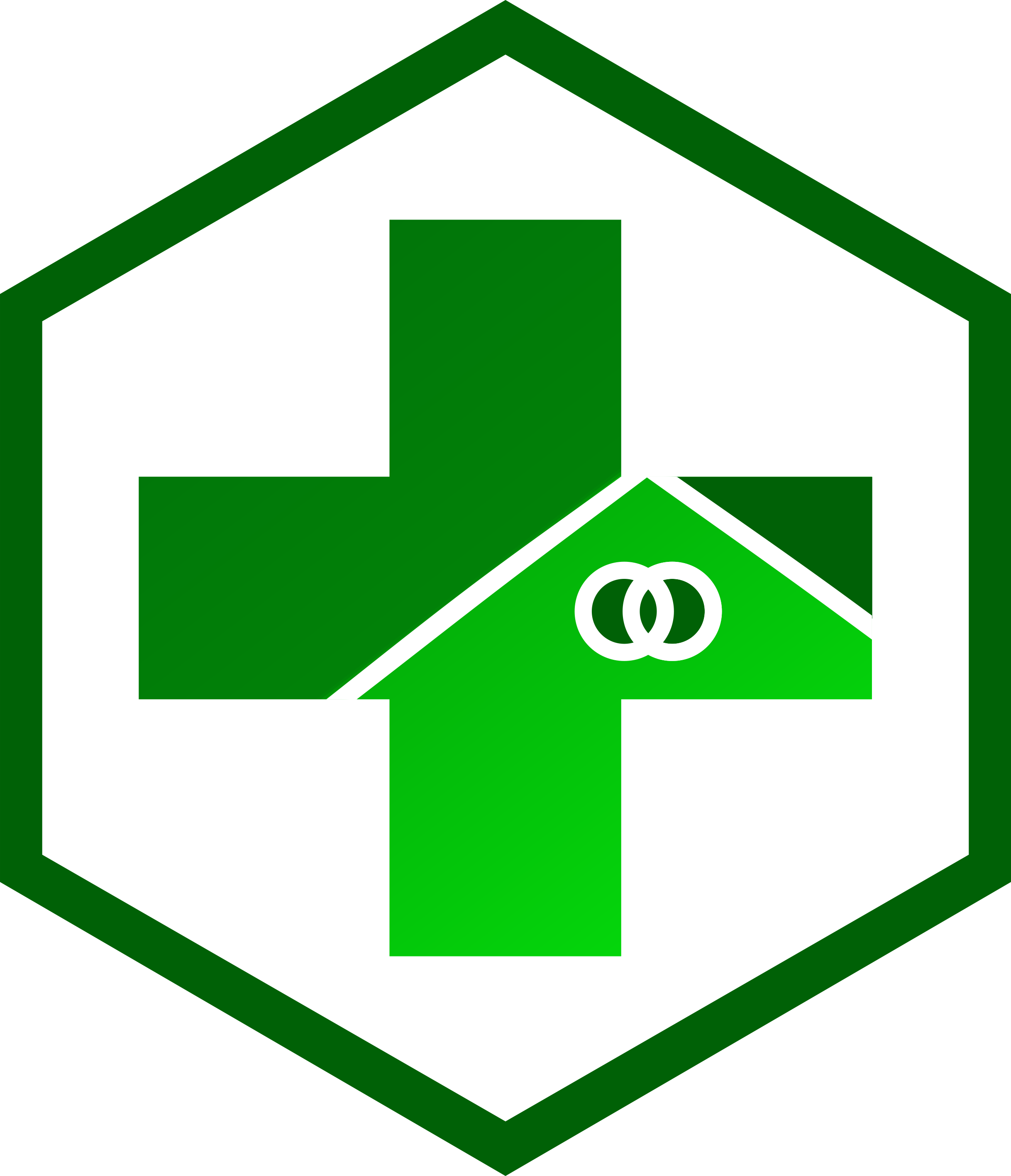 logo dinas kesehatan