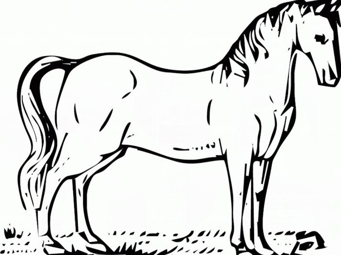 gambar kuda untuk mewarnai