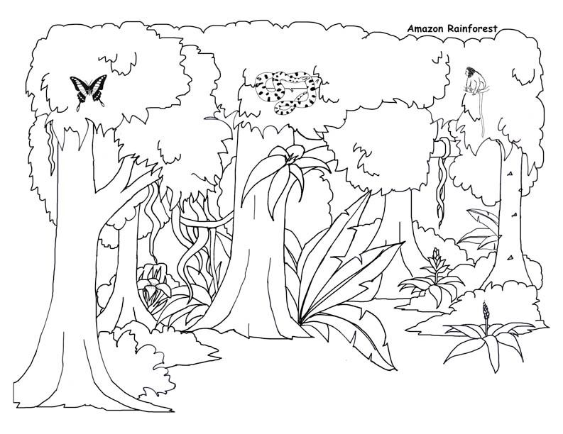 gambar sketsa hewan dan tumbuhan hd