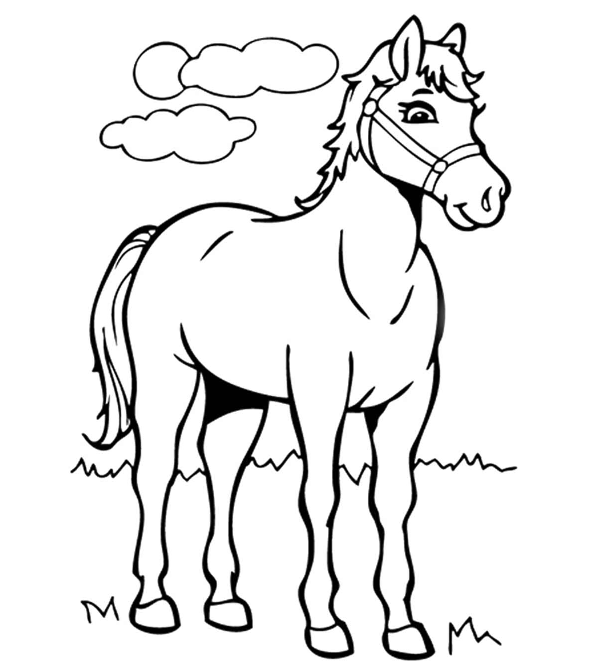 contoh mewarnai sketsa gambar kuda poni