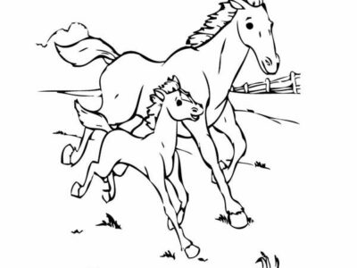 contoh sketsa gambar kuda poni