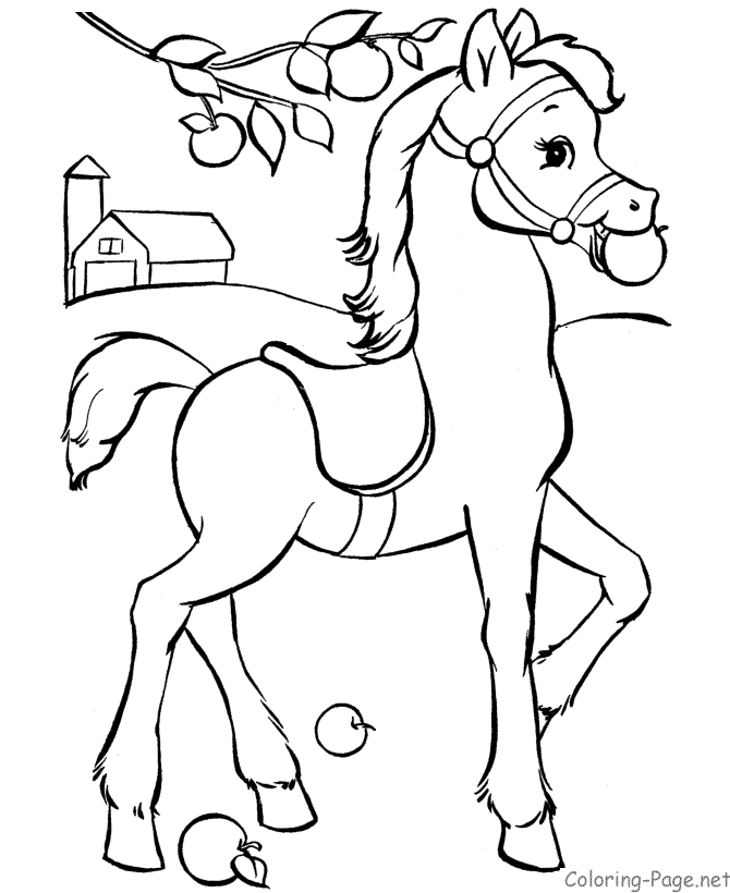 sketsa gambar kuda poni