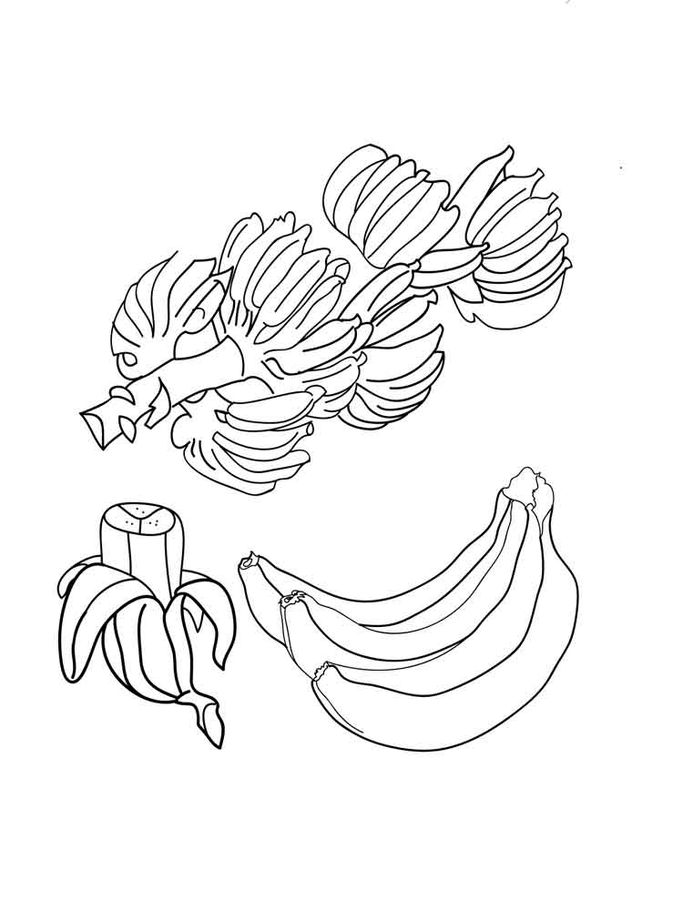 contoh gambar sketsa pisang mewarnai