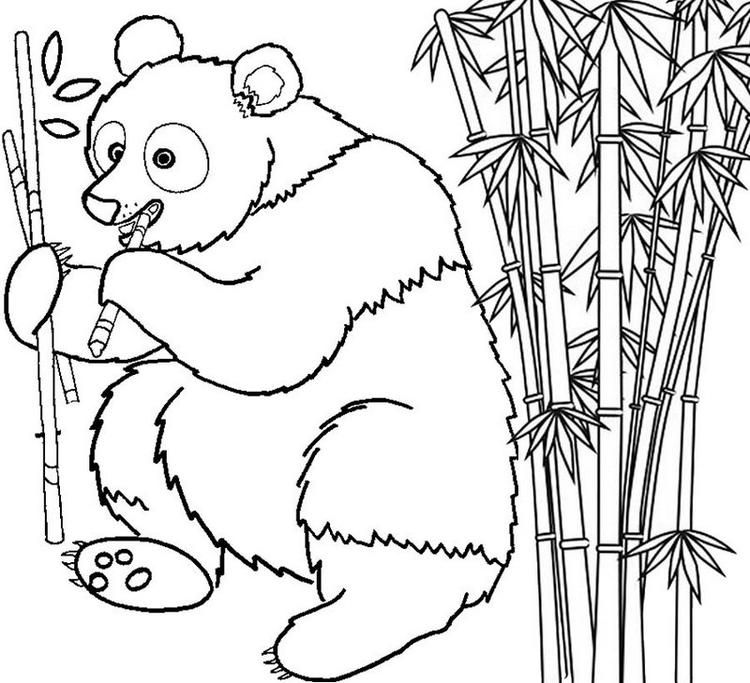 mewarnai gambar panda memakan bambu