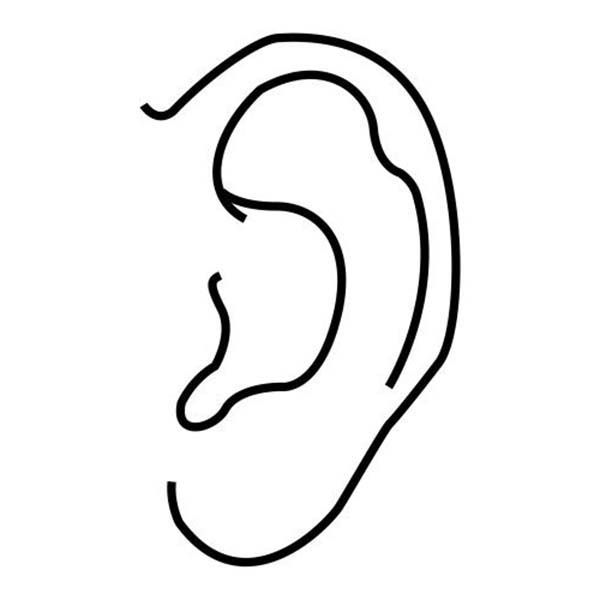 mewarnai gambar telinga manusia hd
