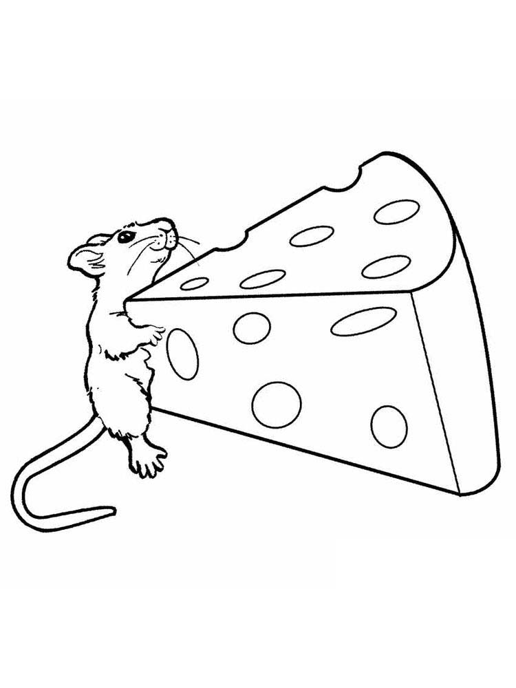 mewarnai gambar tikus makan keju