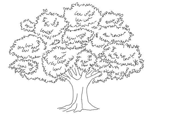 contoh gambar mewarnai pohon mangga